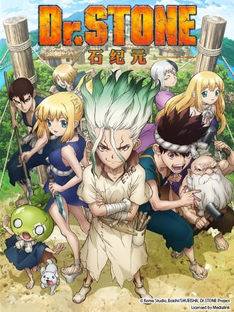 Ｄｒ．ＳＴＯＮＥ 石纪元