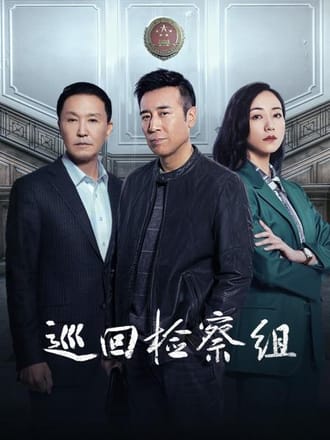巡回检察组